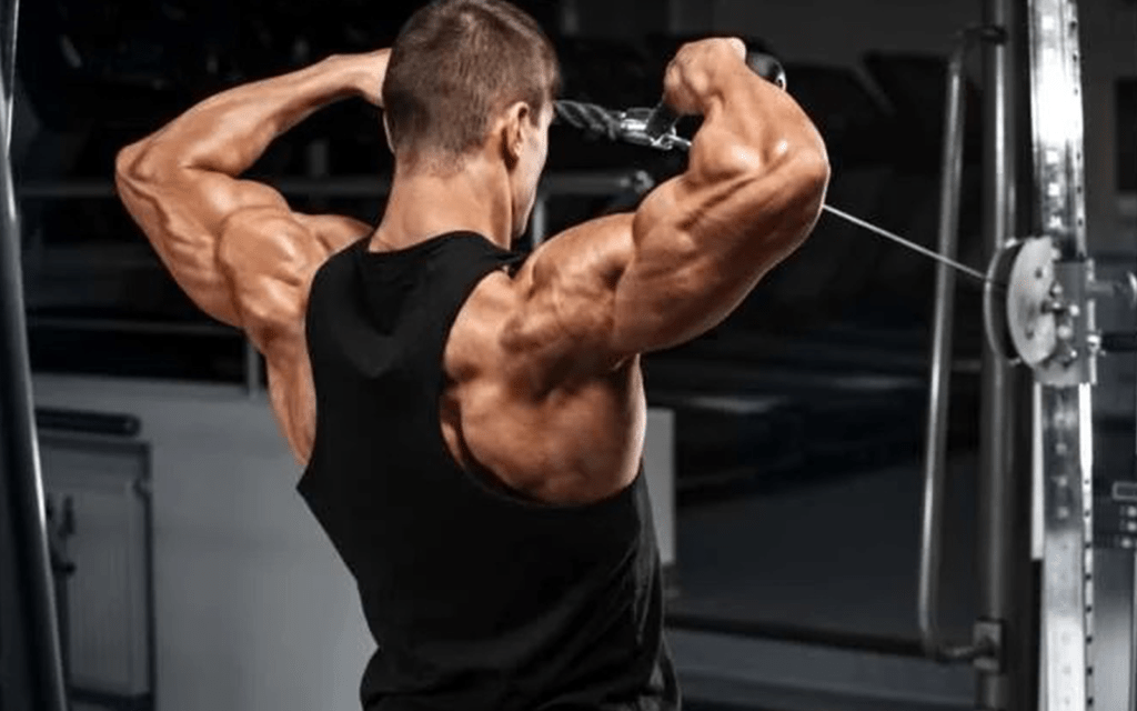 Body Beast Shoulder Workout